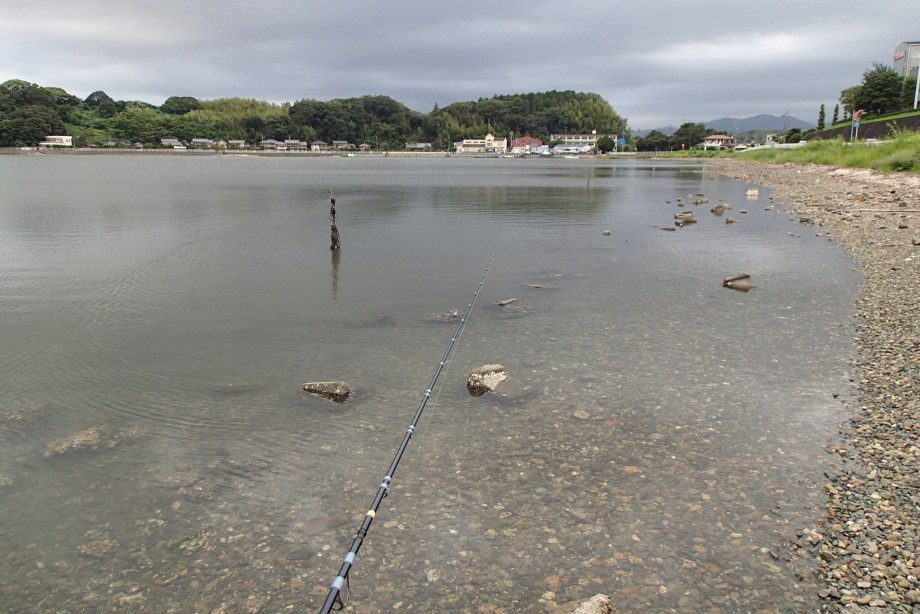 ターニングポイント２ 久しぶりの浜名湖