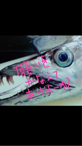xktnbipzah5e9gwvesv4_518_921-d39f3fee.jpg