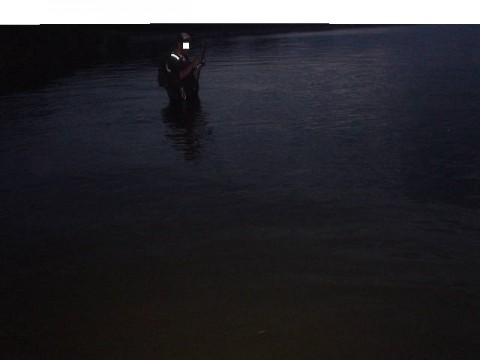 xkvkpcemg49kap3ptu67_480_480-59ed1699.jpg