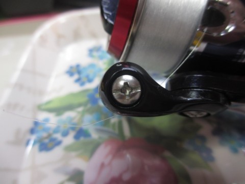 xmj67w8zh3tbzsit9g8i_480_480-a8d799e6.jpg
