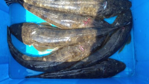 xmk2vrooyurdxycgpvtj_920_518-f3873ebb.jpg