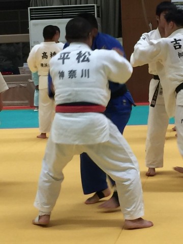 xmovc633j5eaarfi3ubj_480_480-b3b22ec9.jpg
