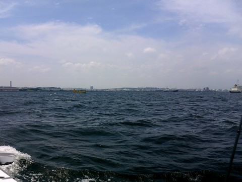 xmsy6mb3oux56nr2eakx_480_480-4f777368.jpg