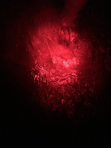xmxouhfdhjp9dmmsj2b4_690_920-50c85d3d.jpg