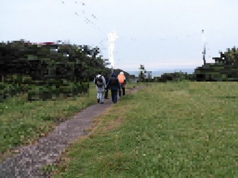 xncooss5rcs8onsv5ik3_480_480-1f031bf9.jpg