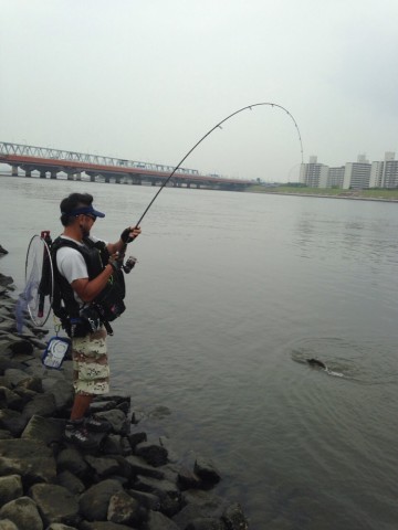 xo2ps8x4gao28geu8eiv_690_920-e83a616f.jpg