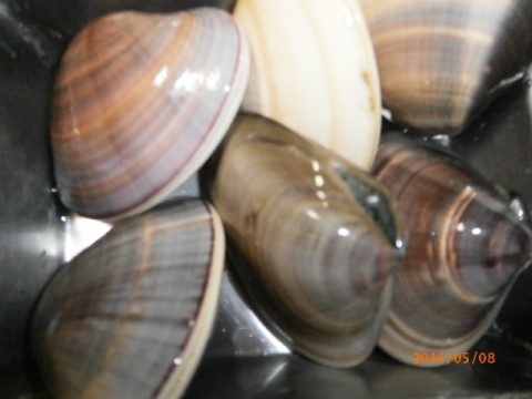 xo2wsnrptb4po8ct9jc3_480_480-ac3f74f7.jpg