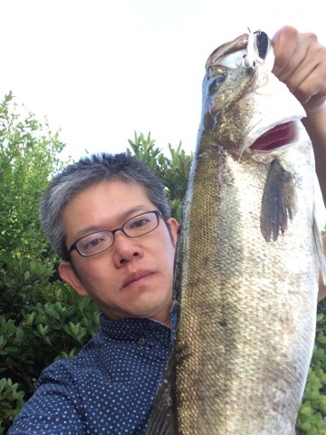 xo5gdzzkba5g3xin2dba_690_920-696ccd11.jpg