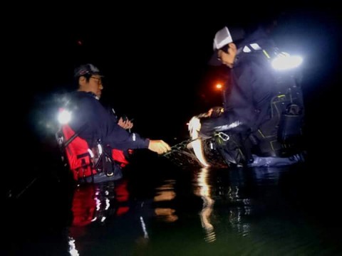 xoc9dzidichkfj877i5j_720_540-fb559770.jpg