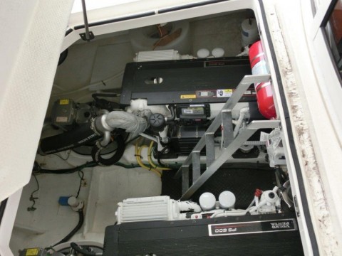 xofcsiamy8bp7yghu7f8_480_480-6d0cacca.jpg
