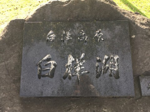 xohxsc9s4fp83k845fr2_480_480-b9b43d83.jpg