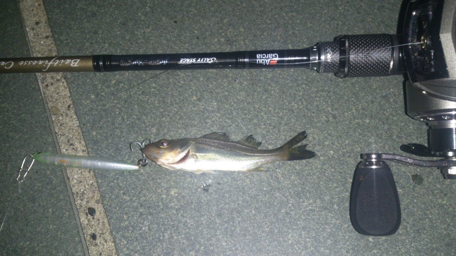 Pure Fishing Japan Saltwater Blog シーバスbyswベイトフィネス