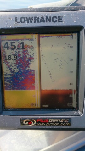 xp4zp9y368wb5jaxufo9_517_920-0149d410.jpg