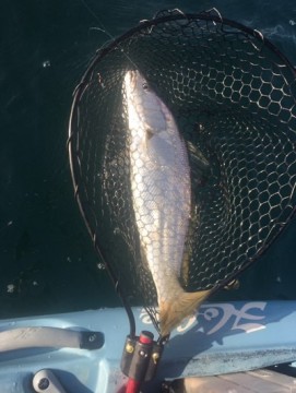 xpb2xcyuci3rf6yum2hi_361_480-4fe17103.jpg