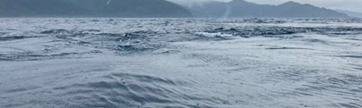 xpcubifsx4955x9xmmhe_404_121-de348cf2.jpg