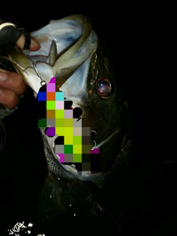 xpiepe7mjpobg6ps88u6_690_920-b123b87a.jpg