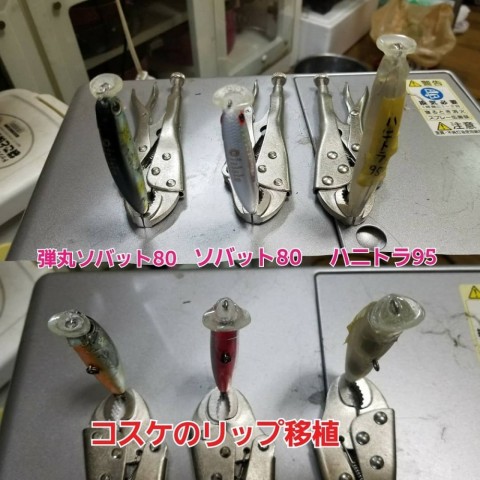 xpoia99sentvyyj7v82b_480_480-3d20cc7b.jpg