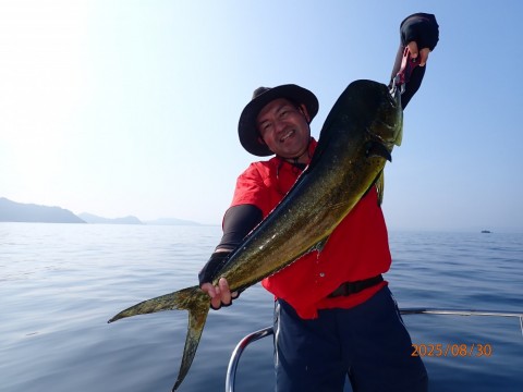 xppwydiy9hb3s6s335y3_480_480-40f67253.jpg