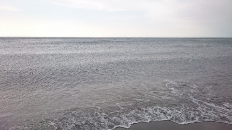 xpyej3s9uzpr2oazkfo9_768_432-621f597d.jpg