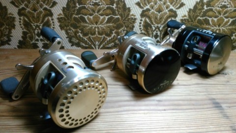 xr2gvsnjpwfexrvvevdu_480_480-83f65456.jpg