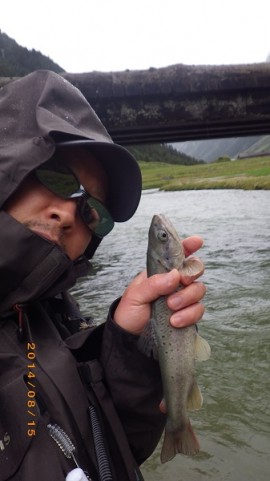 xr5tcshmaimnnjwaavut_480_480-e3b7291c.jpg