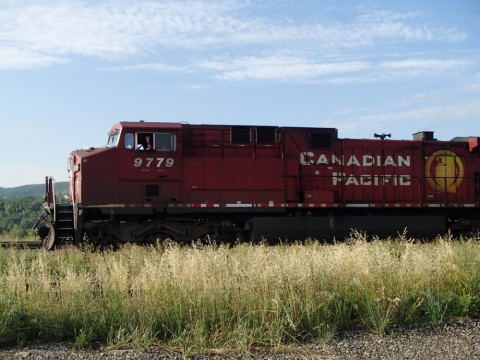 xrpemf5uvz7pb3wyhw59_480_480-c14922b4.jpg