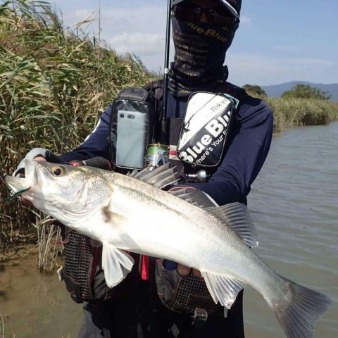 xs42a9jf9wevemagkmto_480_480-d55379f9.jpg