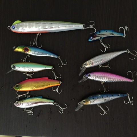 xs4ck3i9k76zz37c4vtg_480_480-5f543264.jpg