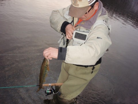 xs4h8sre5tw89a2eetag_480_480-78c4b33c.jpg