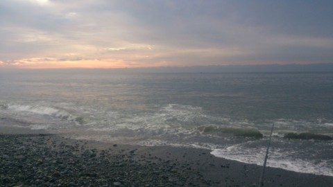 xs8hic4my7uysxuwoh4o_480_480-4b4875b3.jpg