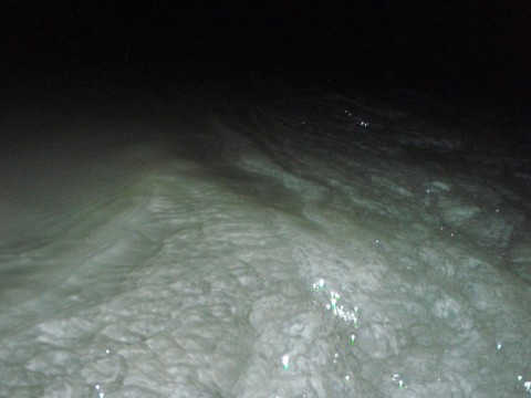xs98wftrpyvwjnmgtxa3_480_480-e4d370be.jpg