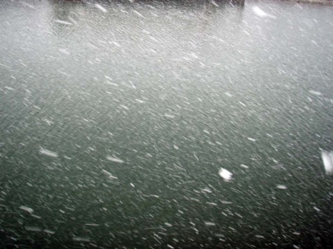 xsKWGbHHTYKOukfTa65W_480_480-e972af32.jpg