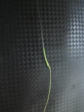 xsdit5erx6v8jt5xtuoa-614749aa.jpg