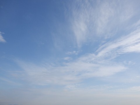 xsii3rv2ixbi5vduxibc_480_480-db0649e6.jpg