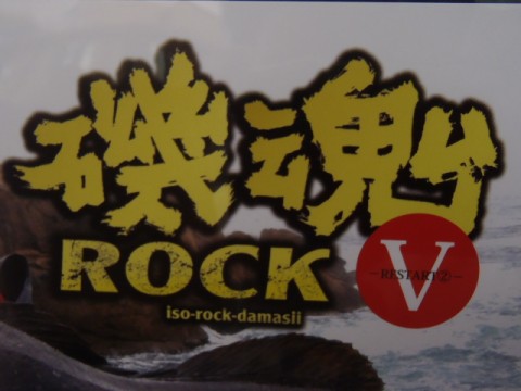 xsndmhs83hgpmgnjo7uo_480_480-ab5c29c7.jpg
