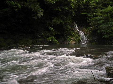 xsneo7pk29y6ipncaxhj_480_480-7c92953f.jpg