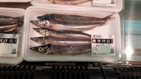xt3m3jchwdcstsk56n74_920_518-2590d037.jpg