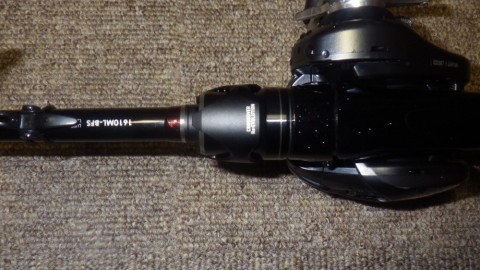 xt7wwpjwnwezffx37k5g_480_480-7d505a97.jpg