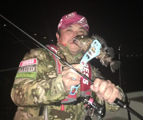 xtej9x3yfaf4x66m9vhf_480_480-4bfcc6be.jpg