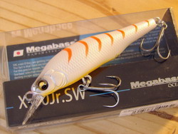xtpw2paojve73kgmr3m2-026c5454.jpg