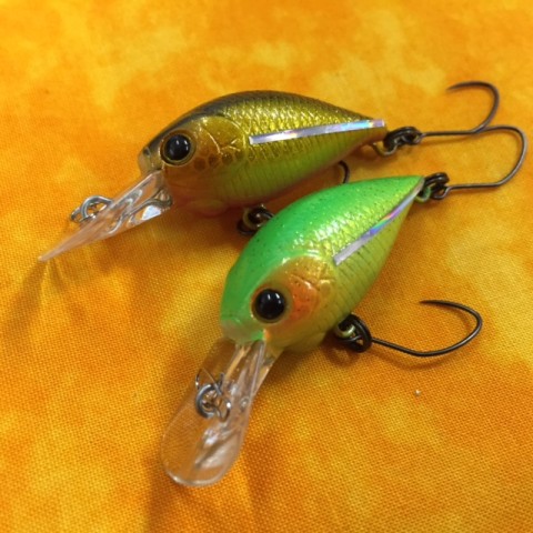 xtrd85r95cjyxbnmhfeo_480_480-10697639.jpg