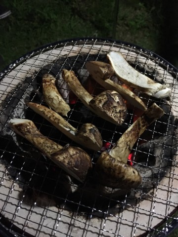 xu9x3toxappaujh98gkj_690_920-646f3fa2.jpg