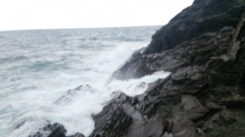 xuggtui6kz4ognmopr9z_480_480-f5016817.jpg