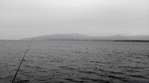 xuiikn2ie22nuhnykn55_480_480-070b17a8.jpg