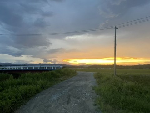 xv286wdofmx28zoenwfk_480_361-518e14ed.jpg