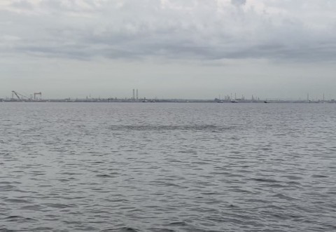 xv7ism9rrerdd4hr38r5_480_331-e49cdeef.jpg