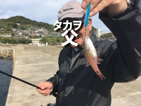 xvgsaooyfhrwrgv7wxf7_480_480-73019988.jpg