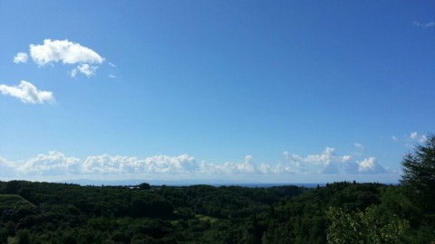 xvkyic3fe93u9urimmwj_920_518-c79a561c.jpg