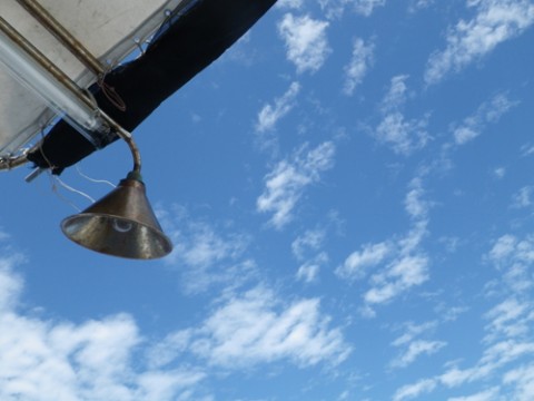 xvn5rz246ypxff8ppwjp_480_480-451c2267.jpg