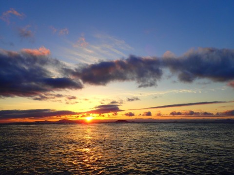 xvoo5bnzksfemv9ve2jn_480_480-0e449a8c.jpg
